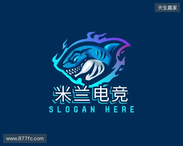 了解米兰电竞app